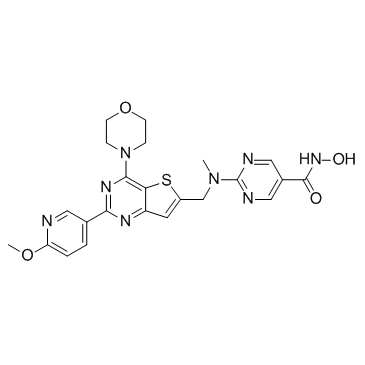 N-羟基-2-[[[2-(6-甲氧基吡啶-3-基)-4-(吗啉-4-基)噻吩并[3,2-d]嘧啶-6-基]甲基](甲基)氨基]嘧啶-5-甲酰胺结构式