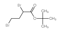 tert-butyl 2,4-dibromobutyrate structure