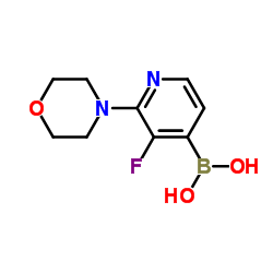 3-氟-2-吗啉吡啶-4-硼酸结构式