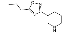 3-(5-propyl-1,2,4-oxadiazol-3-yl)piperidine Structure
