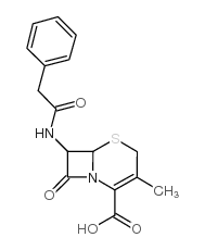 7-苯乙酰胺基-3-甲基-8-氧代-5-硫杂-1-氮杂双环[4.2.0]辛-2-烯-2-甲酸结构式