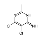 5,6-dichloro-2-methylpyrimidin-4-amine Structure