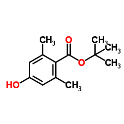 4-羟基-2,6-二甲基苯甲酸叔丁酯结构式