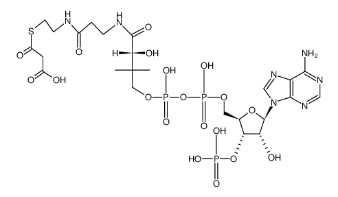 Malonyl CoA结构式