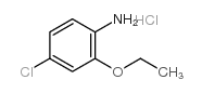4-CHLORO-2-ETHOXYANILINE, HCL Structure