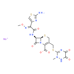 (6R,7R)-7-((Z)-2-(2-氨基噻唑-4-基)-2-(甲氧基亚氨基)乙酰氨基)-3-(((2-甲基-5,6-二氧代-1,2,5,6-四氢-1,2,4-三嗪-3-基)硫基)甲基)-8-氧代-5-硫杂-1-氮杂双环[4.2.0]辛-2-烯-2-羧酸钠结构式
