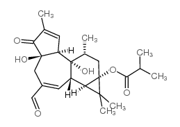 20-氧-12,20-二脱氧佛波醇13-异丁酸酯图片