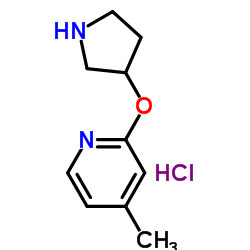 4-甲基-2-(吡咯烷-3-基氧基)吡啶盐酸盐结构式