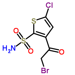 3-(溴乙酰基)-5-氯噻吩-2-磺酰胺结构式