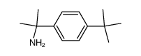 2-(4-tert-butylphenyl)propan-2-amine结构式