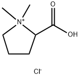 Stachydrine hydrochloride picture
