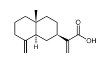 beta-Costic acid structure