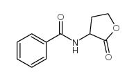 N-(2-氧代四氢呋喃-3-基)苯甲酰胺结构式