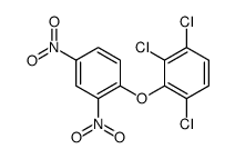 1,2,4-trichloro-3-(2,4-dinitrophenoxy)benzene结构式