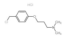 3-[4-(Chloromethyl)phenoxy]-N,N-dimethylpropylamine hydrochloride Structure