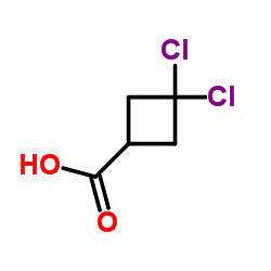 3,3-二氯环丁烷羧酸结构式