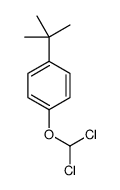 1-tert-butyl-4-(dichloromethoxy)benzene Structure