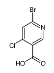 6-溴-4-氯烟酸图片