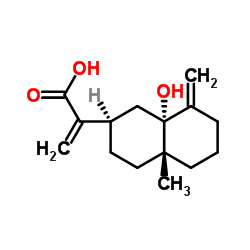 5alpha-羟基木香酸结构式