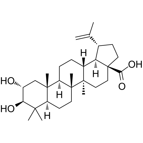 (2α,3β)-2,3-Dihydroxylup-20(29)-en-28-oic acid picture