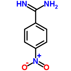 4-硝基苯甲脒结构式