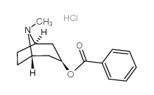8-Azabicyclo[3.2.1]octan-3-ol,8-methyl-, benzoate (ester), hydrochloride, (3-exo)- (9CI) Structure