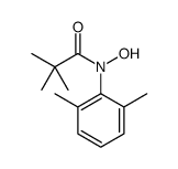 N-(2,6-dimethylphenyl)-N-hydroxy-2,2-dimethylpropanamide结构式