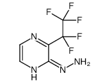 2-Hydrazino-3-(pentafluoroethyl)pyrazine Structure