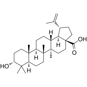 表白桦脂酸结构式