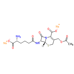 Cephalosporin C Na salt Structure