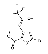 5-溴-3-(2,2,2-三氟-乙酰基氨基)-噻吩-2-羧酸甲酯结构式