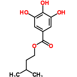 L-谷氨酸脱氢酶图片