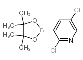 2,5-二氯吡啶-3-硼酸频哪酯结构式