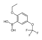 [2-ethoxy-5-(trifluoromethoxy)phenyl]boronic acid Structure