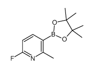 6-fluoro-2-methyl-3-(4,4,5,5-tetramethyl-1,3,2-dioxaborolan-2-yl)pyridine structure