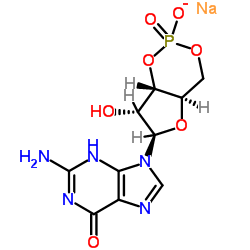 鸟苷3',5'-环一磷酸钠盐(cGMP)结构式