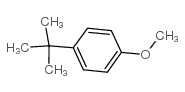4-叔丁基茴香醚结构式
