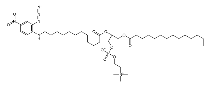 [(2R)-2-[12-(2-azido-4-nitroanilino)dodecanoyloxy]-3-tetradecanoyloxypropyl] 2-(trimethylazaniumyl)ethyl phosphate Structure