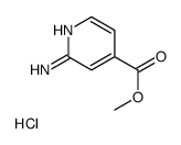 methyl 2-aminoisonicotinate结构式