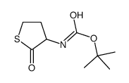 叔-丁基(2-氧亚基四氢噻吩-3-基)氨基甲酯结构式