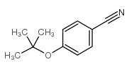 4-叔丁氧基苯甲腈结构式