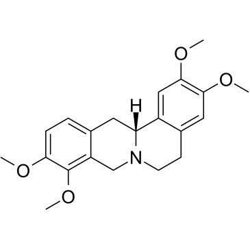 D-Tetrahydropalmatine picture