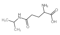 (S)-2-氨基-5-(异丙基氨基)-5-氧代戊酸结构式