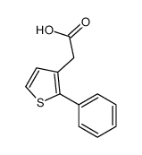 2-(2-phenylthiophen-3-yl)acetic acid Structure