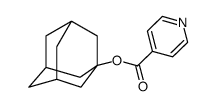 1-adamantyl pyridine-4-carboxylate结构式