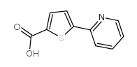 5-(吡啶-2-基)噻吩-2-羧酸结构式