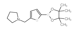 5-(1-吡咯烷基甲基)噻吩-2-硼酸频哪醇酯图片