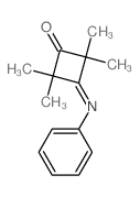 Cyclobutanone,2,2,4,4-tetramethyl-3-(phenylimino)-结构式