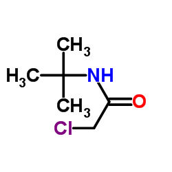 N-(叔丁基)-2-氯乙酰胺结构式