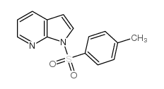1-甲苯磺酰基-1H-吡咯[2,3-b]并吡啶结构式